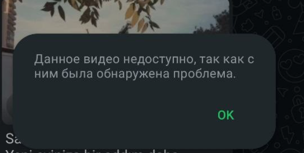 Автоматическая отправка рассылок на WhatsApp для застройщика, Азербайджан